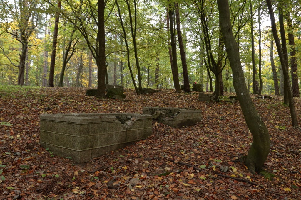 pozostałości nagrobków kirkutu w Bolszewie