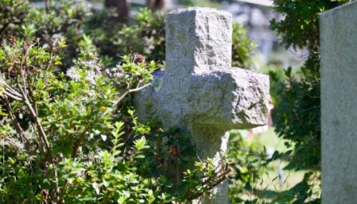 Akcja "Nie pozwól pamięci zarastać trawą"