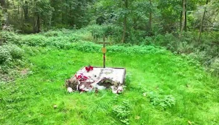 Pola Igielskie w okolicach Chojnic