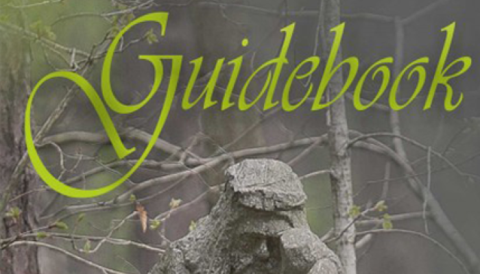 guidebook o Piaśnicy po angielsku