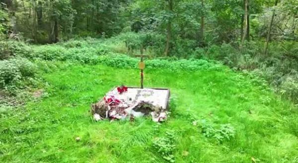 Pola Igielskie w okolicach Chojnic