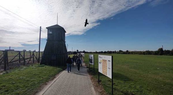 widok na Państwowe Muzeum w Majdanku