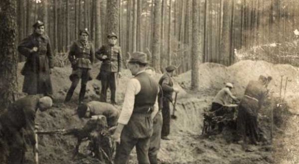 zdjęcie przedstawiające ekshumację w Lasach Piaśnickich