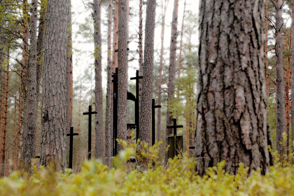czarne krzyże pomiędzy drzewami w Lesie Piaśnickim