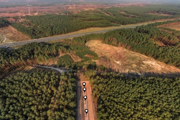 Mniszek from a drone