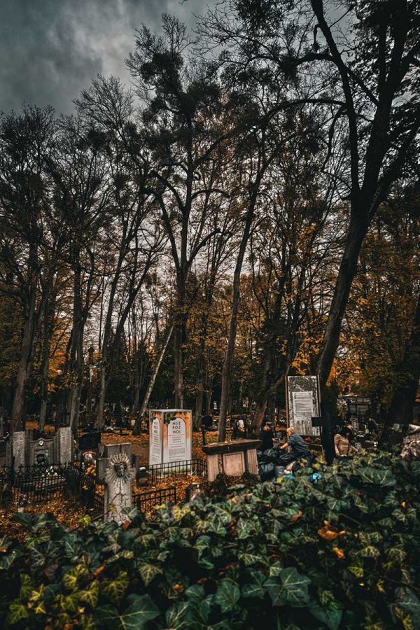 Stary cmentarz w Wejherowie widok zza płotu